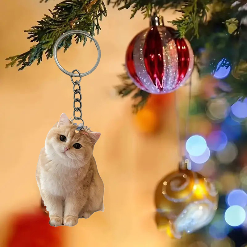 Black And White Cat Keychain 2 - Resin Art Design Keychain recension och pris
