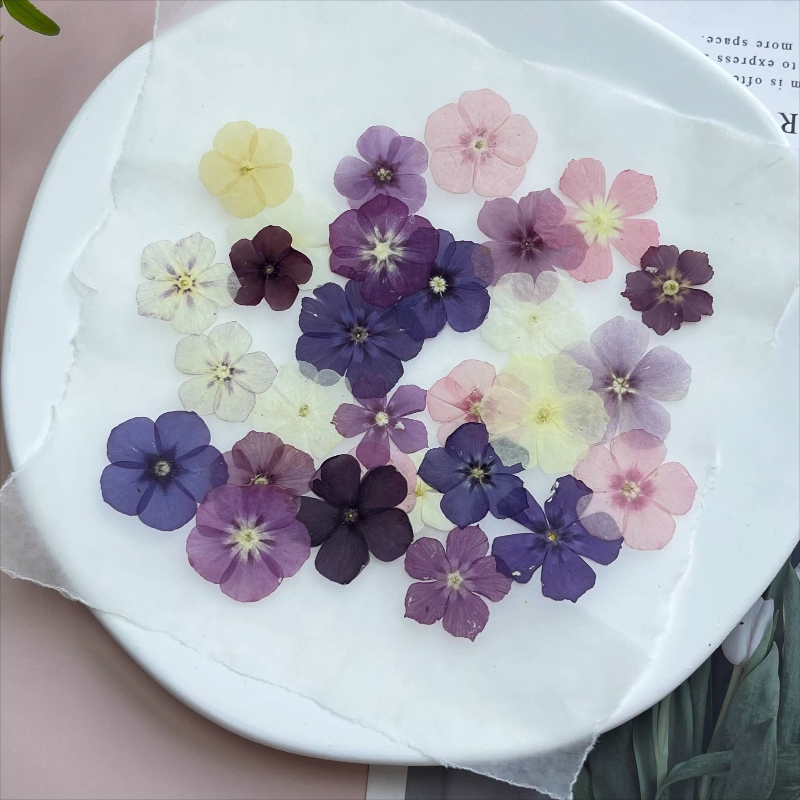 12pcs,Semi-Transparent Niche P - Resin Art Liquid recension och pris