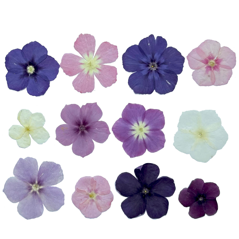 12pcs,Semi-Transparent Niche P - Resin Art Liquid recension och pris
